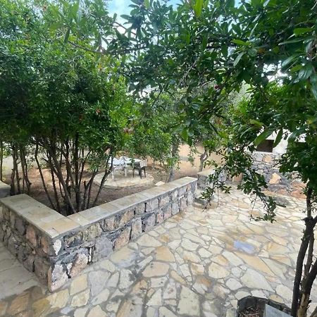 Rose Guesthouse Al 'Aqar Екстериор снимка