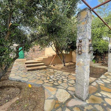 Rose Guesthouse Al 'Aqar Екстериор снимка