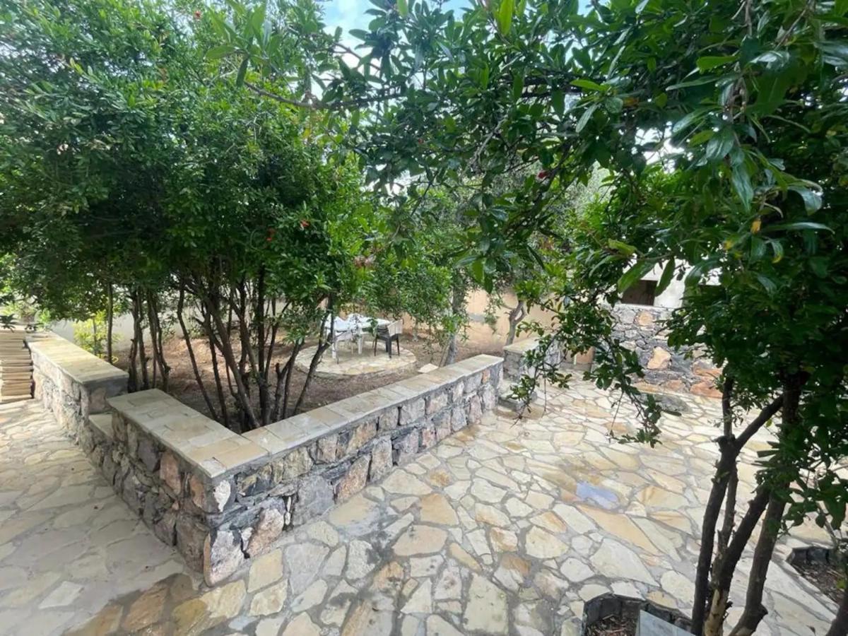 Rose Guesthouse Al 'Aqar Екстериор снимка